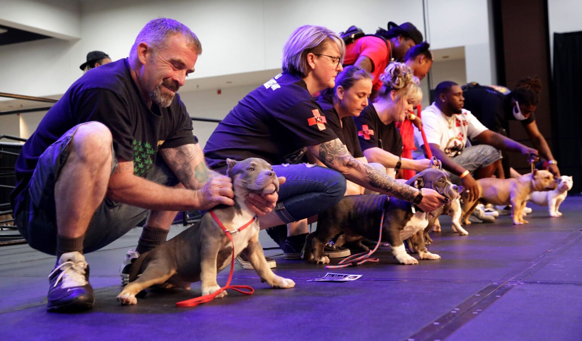 Show Me Bullz Dog Show